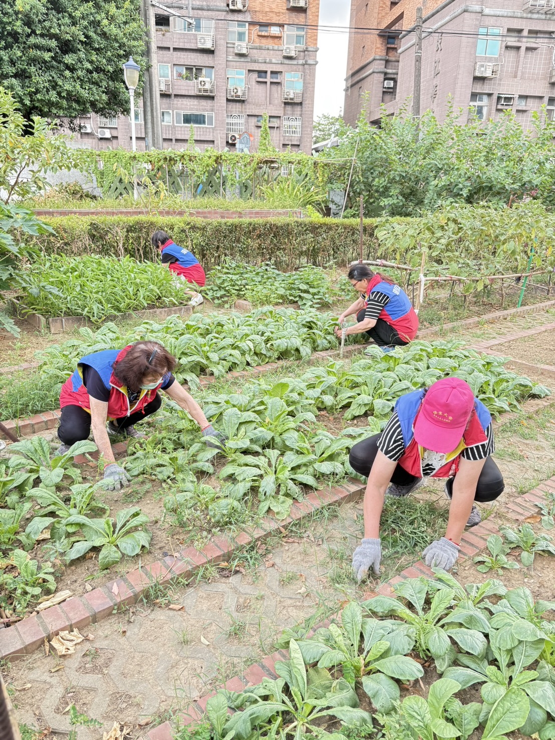 新北里環境認證 優質環境掛保證 各里營造獨特環保特色